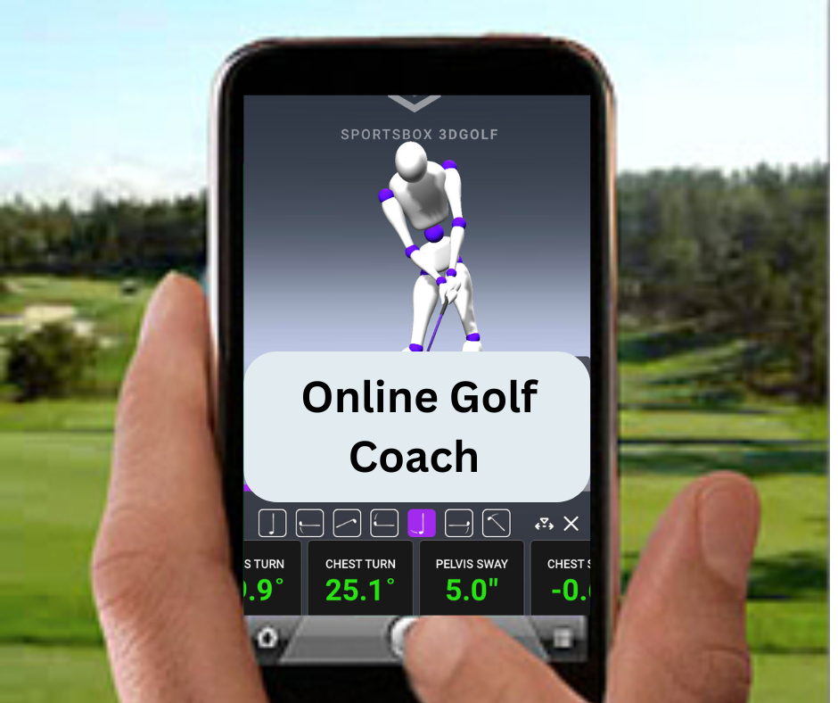 Online Golf Coach Giving Virtual Golf Instruction